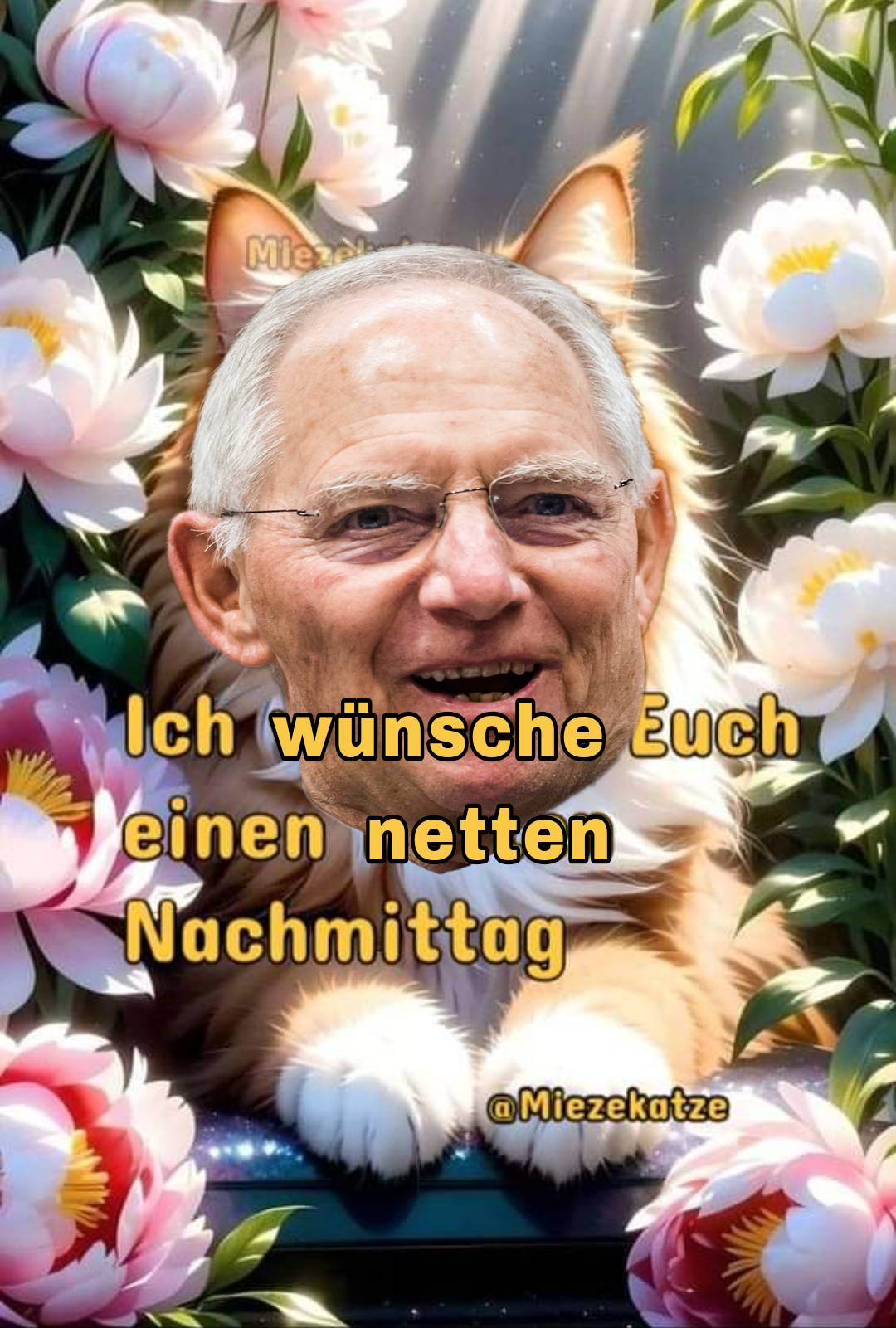 Katzenjunge Schäuble wünscht einen netten Nachmittag